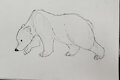 Some Traditional Critters by Sourbugs