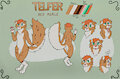 Telfer