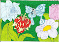 Butterfly in a flower garden 2025