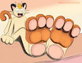Meowth paws