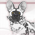 AFRICAN WILD DOG BUNDLE by NorthernRed