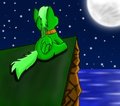 Staring at the moon