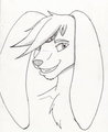 Scheknul (Headshot)