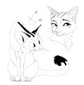 Feline practice