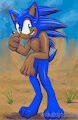 Sonic Paws by SonicSpirit