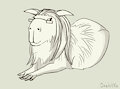 White capybara