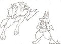 Lucario VS Zoroark
