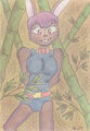 Lusa Bamboo Forest
