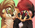 Ferret Boys