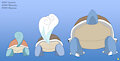 0007-0009: Squirtle family