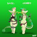 Basil & Jasmine Ajagar
