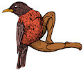 Birds_With_Legs_3 by Craftyandy