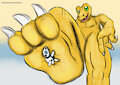 Agumon Vs Aron