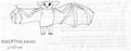Sketch of a Bat