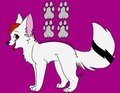 Winter - Feral ref.