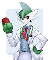[C] to SirGallade