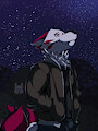 Night Time Stroll