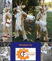 Reindeer Fursuit by The Critter Factory by TheCritterFactory