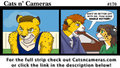 Cats n Cameras Strip #170 - Pick better last words