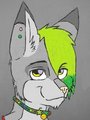 colored and collared manny by MannySilvers