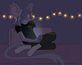 Me on the top bunk bed with my star lights