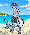 Shark by AvisHat
