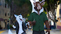 “On Town” By WayNAnimation by WolfSkoll