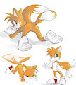 Tails+Silver by aquoquoo