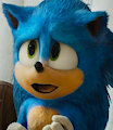 Many Misadventures Of Sonic Wachowski - Chapter 1 by RyderRaccoon