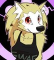 newcomer - Sibyl