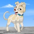 PWYW Adoptable 2 by Dajku