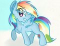 Lil' Dashie