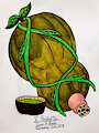 [Jyqul's Concoctions] X. Herbal Tea