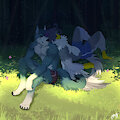 Under the Shade