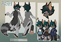 [C] Ash by MorgueBuddy