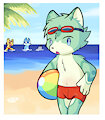 beach day