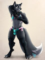 Riley the Silver Fox by Sephir0th05