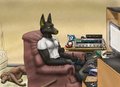 The Jackal Draws...