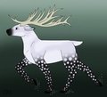 Starstrider Stag
