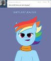 Rainbow Dash 002 Questions: 8
