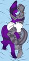 Crinkley Snuggs by Tktktk