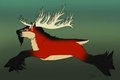 Northern Redbuck