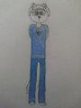 Traditional fullbodies