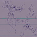 Bilby Jamie