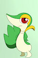 Snivy