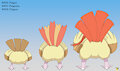 0016-0018 Pidgey family by pichu90