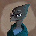 Steller's Jay pfp [Gift] by Soovka