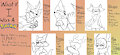 - Pokemon Mizu Ideas -
