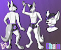 Reference Sheet - Chain by BunnyfoxDesigns