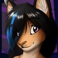 Nikko Icon